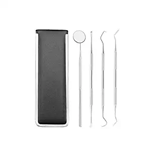 Dental Hygiene Kit,4 Pcs Stainless Steel Dental Kit with Dental Probe, Mouth Mirror,Tarter Scraper and Sickle Scaler for Personal and Pet