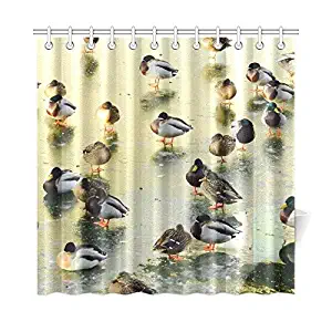 WIEDLKL Home Decor Bath Curtain Ducks Winter Water Ice Animals Bird River Nature Polyester Fabric Waterproof Shower Curtain for Bathroom, 72 X 72 Inch Shower Curtains Hooks Included