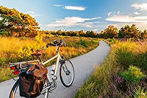 Electric Bicycle with Saddle Bags in Dutch National Park the Veluwe A-9011905 (12x18 Art Print, Wall Decor Travel Poster)