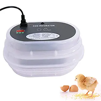 Smartxchoices Digital Mini Egg Incubator 9-12 Eggs with Fully Automatic Turning Humidity Control Poultry Hatcher for Chickens Ducks Goose Birds