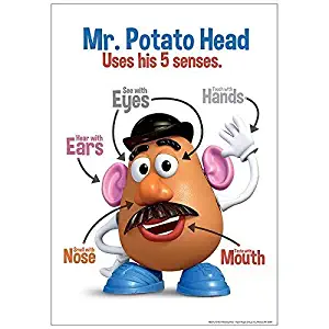Eureka Classroom Posters, Measures: 13" x 19" - Mr. Potato Head - 5 Senses