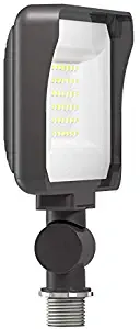 RAB X34-25L/120 General Purpose LED Floodlight, 120V, 5000K, Multi