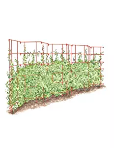 Gardener's Supply Company Expandable Pea Trellis