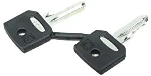 Genie GR-20 KEY - RONIS 455 10 PACK 37947