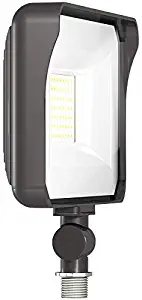 RAB X34-65L/120 General Purpose LED Floodlight, 120V, 5000K, Multi