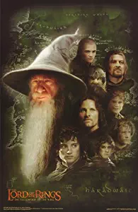 lord Of The Rings Poster Good Guys Boromir Gandalf Frodo Sam Aragorn Legolas Gimli Merry Pippin