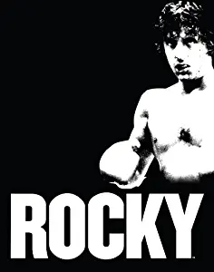 Rocky (Sylvester Stallone) Gloves Up Black and White Classic Movie Film Postcard Poster Print 11x14