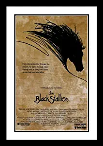 ArtDirect The Black Stallion Framed and Double Matted 20x26 Movie Poster