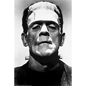 Buyartforless Frankenstein 1931 Boris Karloff 36x24 Black and White Movie Art Print Poster Wall Decor Photograph Famous Classic Hollywood Film