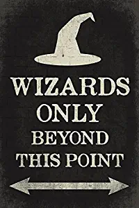 Keep Calm Collection Wizards Only Beyond This Point, Poster Print