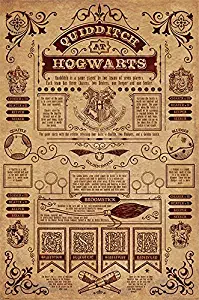 Harry Potter - Movie Poster/Print (Quidditch at Hogwarts) (Size: 24 inches x 36 inches)
