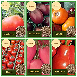 Set of 6 Vegetable Seeds Garden Deluxe, 6 Different Varieties of Tomato (Red Pear, Long Keeper, New Pink, Orange, De-Barao Black, Cherry), Tomato Mix Seeds for Planting, All Seeds Heirloom, Non-GMO!